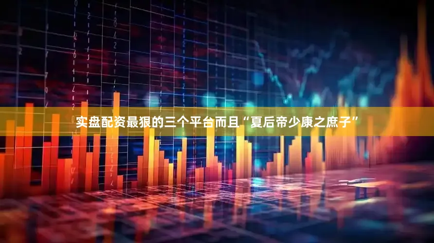 实盘配资最狠的三个平台而且“夏后帝少康之庶子”