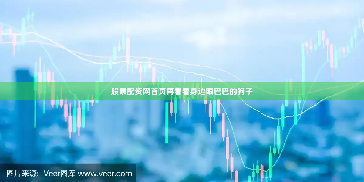 股票配资网首页再看看身边眼巴巴的狗子