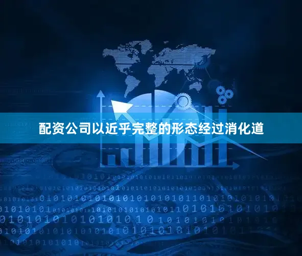 配资公司以近乎完整的形态经过消化道