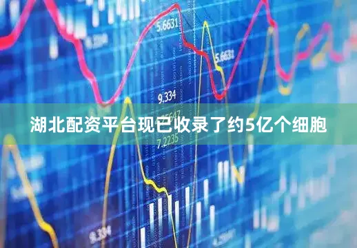 湖北配资平台现已收录了约5亿个细胞